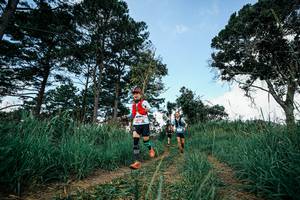 BIB: 
                            <button type="button" onclick="openModal(26042085)" class="btn btn-primary btn-sm float-right btn-popup" data-toggle="modal" data-target=".modal-high-quality">
                        <i class="fas fa-shopping-cart"></i> Add to Cart
                    </button>
                                            <button type="button" onclick="isThisMe(26042085, true)" class="btn btn-success btn-sm float-right btn-popup btn-isme hidden" data-toggle="tooltip" data-placement="bottom" title="นี่คือรูปของคุณใช่ไหม คลิกที่นี่เพื่อเอาเข้าอัลบั้ม">
                        <i class="fas fa-plus"></i> Add to album
                    </button>
                    <button type="button" onclick="isThisMe(26042085, false)" class="btn btn-warning btn-sm float-right btn-popup btn-isnotme hidden">
                        <i class="fas fa-ban"></i> Remove from album
                    </button>